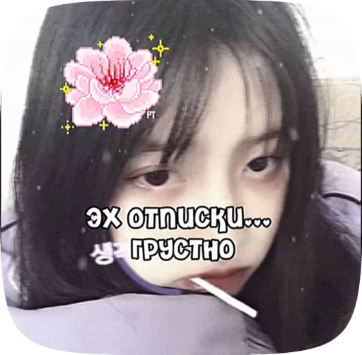 🪼 Стикер «Пожелания» для Telegram