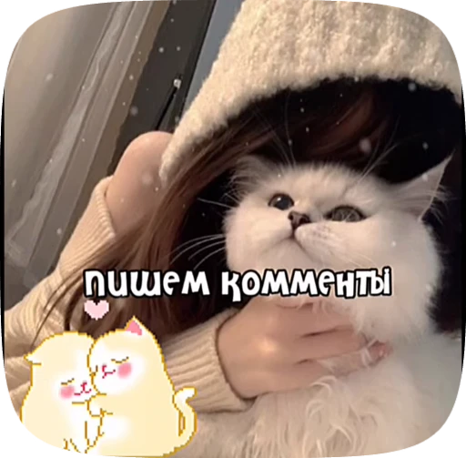 🪼 Стикер «Пожелания» для Telegram
