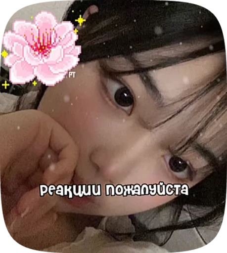 🪼 Стикер «Пожелания» для Telegram
