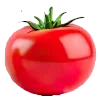 Стикер 7 Садовод