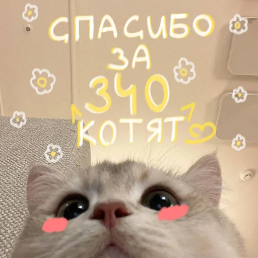 🐱 Стикер «My kittens» для Telegram