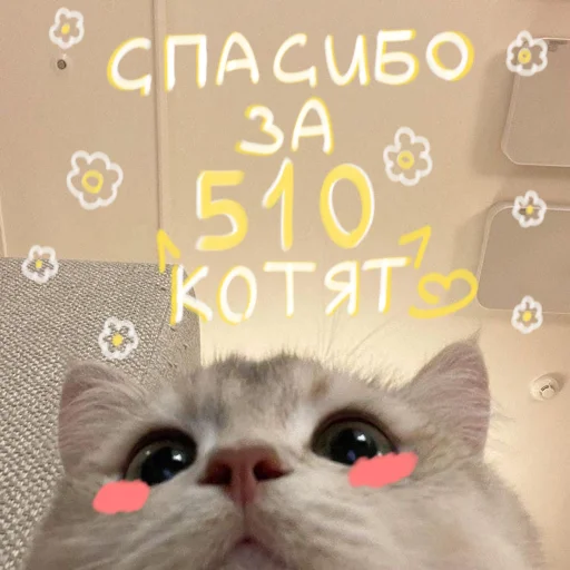 🐱 Стикер «My kittens» для Telegram