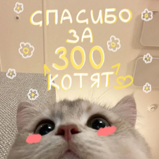 🐱 Стикер «My kittens» для Telegram