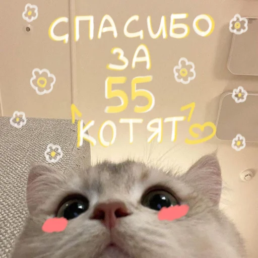 🐱 Стикер «My kittens» для Telegram