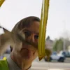 Стикер 58 Saul Goodman Better