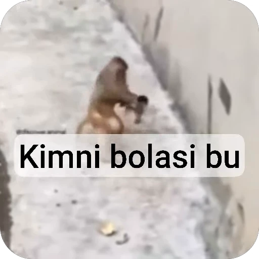 🌟 Стикер «Sayosh» для Telegram