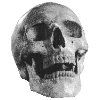 Стикер 2 🗿 Набор эмоджи со скульптурами