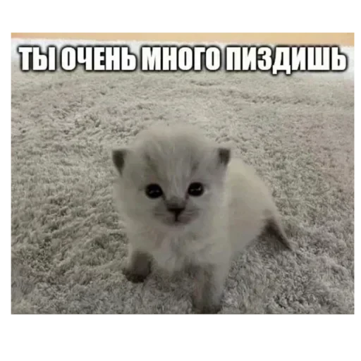 👁️ Стикер «хах» для Telegram