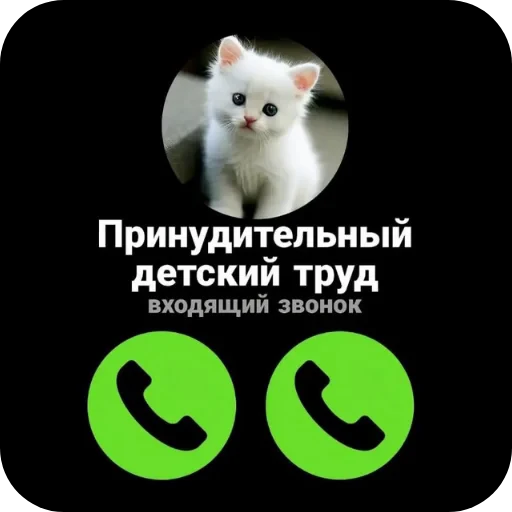 🐦 Стикер «хах» для Telegram