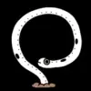Стикер 3 Sea Eel