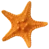 Стикер 41 Sea Emoji