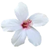 Стикер 22 Sea Emoji