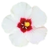 Стикер 18 Sea Emoji