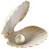 Стикер 24 Sea Emoji