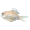 Стикер 19 Sea Emoji