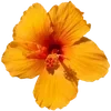 Стикер 36 Sea Emoji