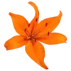 Стикер 44 Sea Emoji
