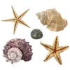 Стикер 25 Sea Emoji