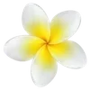 Стикер 47 Sea Emoji