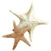Стикер 27 Sea Emoji