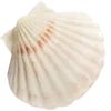 Стикер 11 Sea Emoji
