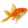 Стикер 37 Sea Emoji