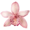 Стикер 16 Sea Emoji