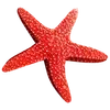 Стикер 39 Sea Emoji