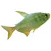 Стикер 48 Sea Emoji