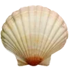 Стикер 6 Sea Emoji