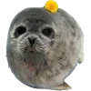 Стикер 19 Seals