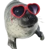 Стикер 13 Seals
