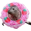 Стикер 35 Seals