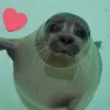 Стикер 34 Seals