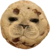 Стикер 5 Seals