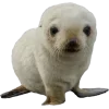 Стикер 17 Seals