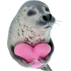 Стикер 30 Seals