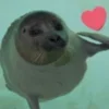 Стикер 33 Seals