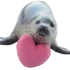 Стикер 31 Seals