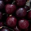 🍒 Эмодзи «𝑆𝑒𝑎𝑠𝑖𝑑𝑒 𝑆𝑒𝑟𝑒𝑛𝑖𝑡𝑦.» для Telegram