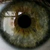 👁 Эмодзи «𝑆𝑒𝑎𝑠𝑖𝑑𝑒 𝑆𝑒𝑟𝑒𝑛𝑖𝑡𝑦.» для Telegram