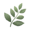 🌿 Эмодзи «𝑆𝑒𝑎𝑠𝑖𝑑𝑒 𝑆𝑒𝑟𝑒𝑛𝑖𝑡𝑦.» для Telegram