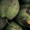 🍈 Эмодзи «𝑆𝑒𝑎𝑠𝑖𝑑𝑒 𝑆𝑒𝑟𝑒𝑛𝑖𝑡𝑦.» для Telegram