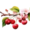 Стикер 48 🌟 cherry vibe