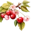 Стикер 49 🌟 cherry vibe