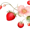 Стикер 56 🌟 cherry vibe
