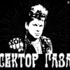 Стикер 54 Сектор Газа За