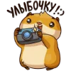 📷 Эмодзи «Сеня» для Telegram