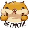 😽 Эмодзи «Сеня» для Telegram