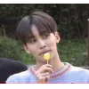 Стикер 46 Seventeen